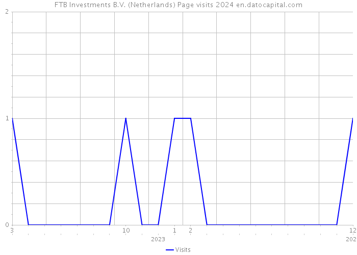 FTB Investments B.V. (Netherlands) Page visits 2024 