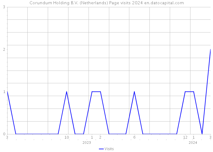 Corundum Holding B.V. (Netherlands) Page visits 2024 
