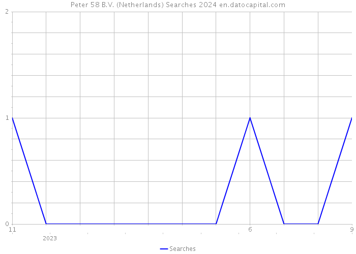 Peter 58 B.V. (Netherlands) Searches 2024 