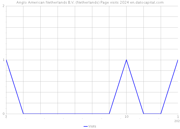 Anglo American Netherlands B.V. (Netherlands) Page visits 2024 