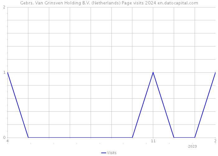 Gebrs. Van Grinsven Holding B.V. (Netherlands) Page visits 2024 