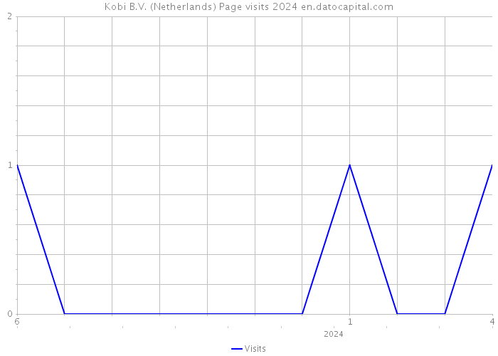 Kobi B.V. (Netherlands) Page visits 2024 