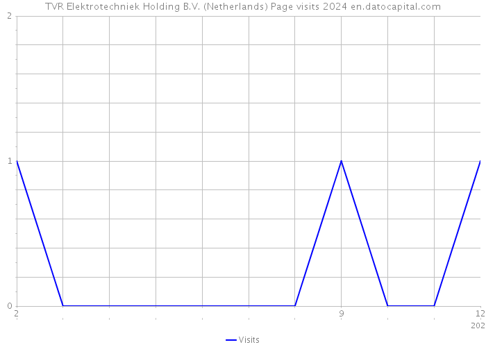 TVR Elektrotechniek Holding B.V. (Netherlands) Page visits 2024 