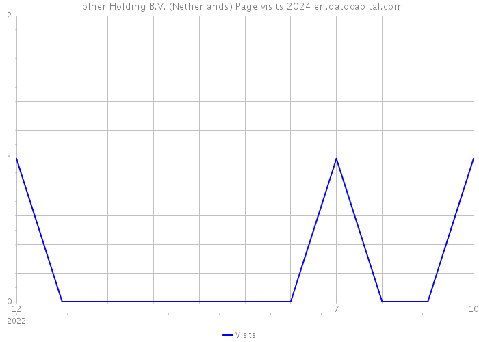 Tolner Holding B.V. (Netherlands) Page visits 2024 