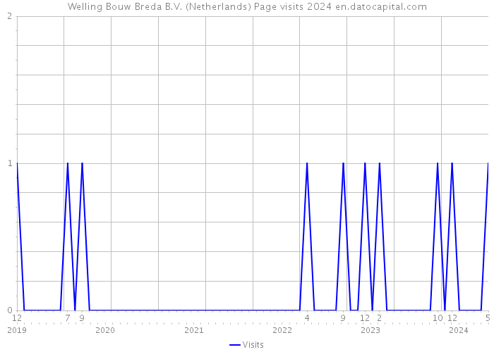 Welling Bouw Breda B.V. (Netherlands) Page visits 2024 