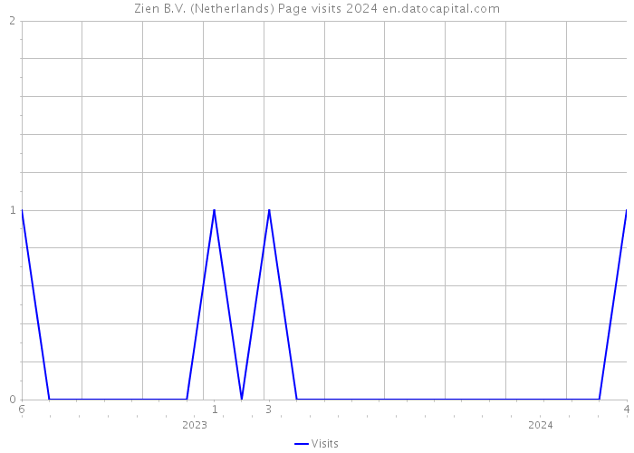 Zien B.V. (Netherlands) Page visits 2024 
