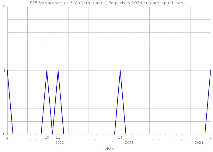 BSE Betonreparatie B.V. (Netherlands) Page visits 2024 