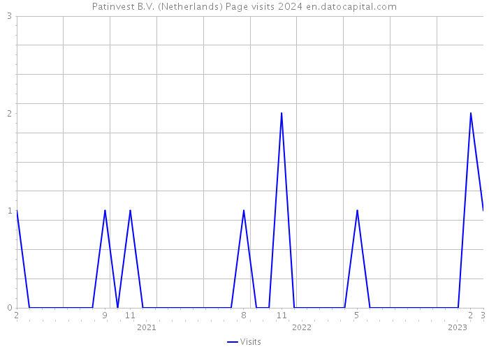 Patinvest B.V. (Netherlands) Page visits 2024 