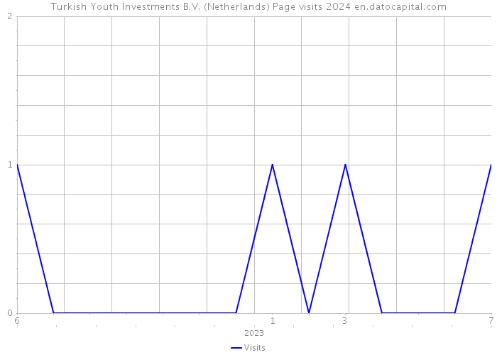 Turkish Youth Investments B.V. (Netherlands) Page visits 2024 