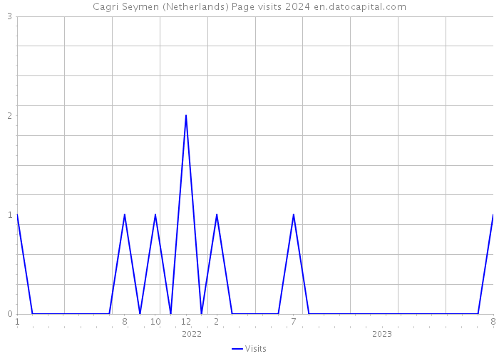 Cagri Seymen (Netherlands) Page visits 2024 