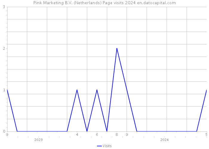 Pink Marketing B.V. (Netherlands) Page visits 2024 