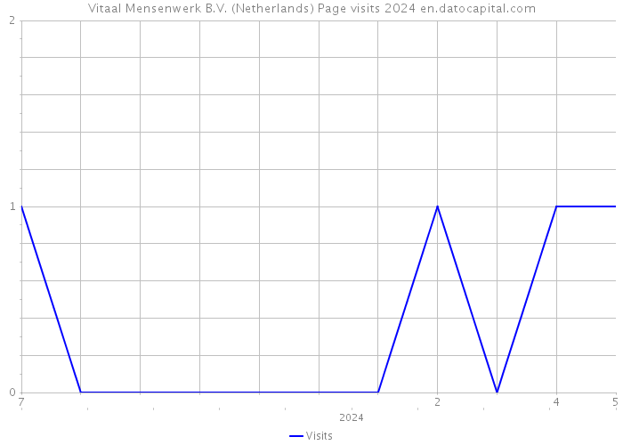 Vitaal Mensenwerk B.V. (Netherlands) Page visits 2024 