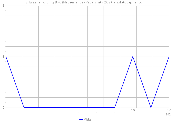 B. Braam Holding B.V. (Netherlands) Page visits 2024 