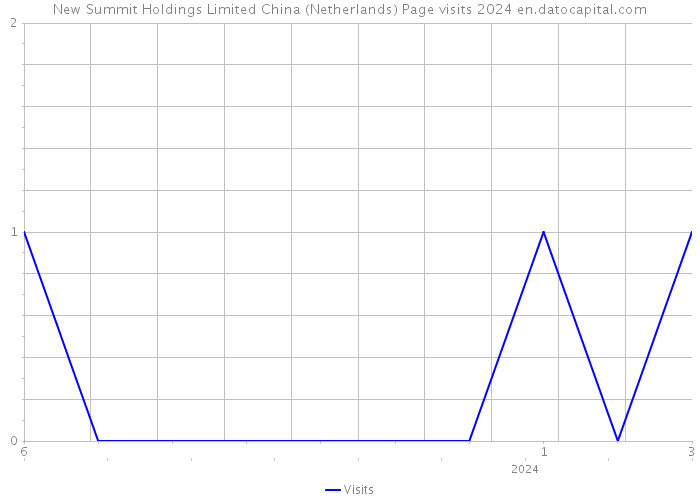 New Summit Holdings Limited China (Netherlands) Page visits 2024 