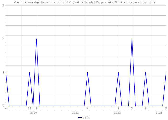 Maurice van den Bosch Holding B.V. (Netherlands) Page visits 2024 