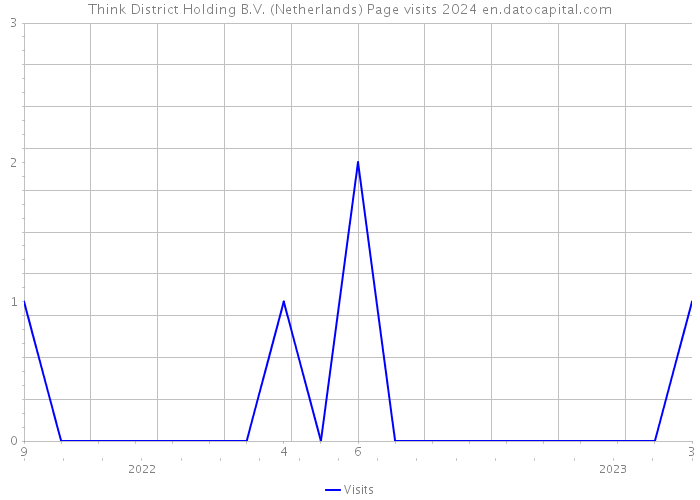 Think District Holding B.V. (Netherlands) Page visits 2024 