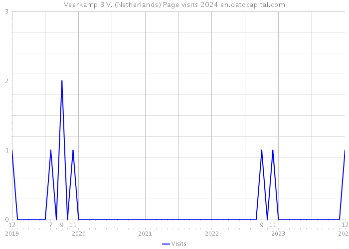 Veerkamp B.V. (Netherlands) Page visits 2024 