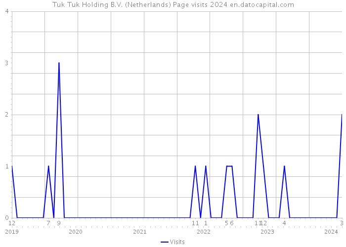 Tuk Tuk Holding B.V. (Netherlands) Page visits 2024 