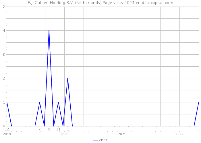 E.J. Gulden Holding B.V. (Netherlands) Page visits 2024 