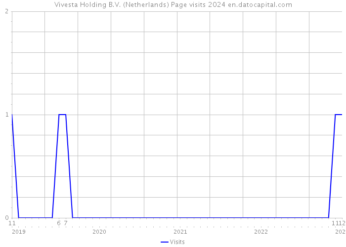 Vivesta Holding B.V. (Netherlands) Page visits 2024 