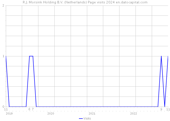 R.J. Morsink Holding B.V. (Netherlands) Page visits 2024 