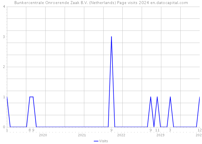 Bunkercentrale Onroerende Zaak B.V. (Netherlands) Page visits 2024 