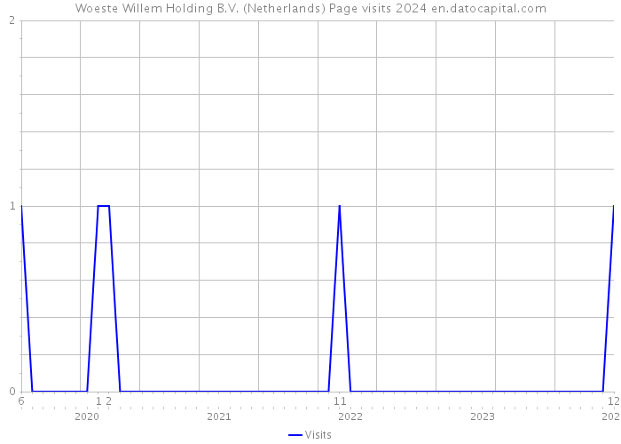 Woeste Willem Holding B.V. (Netherlands) Page visits 2024 