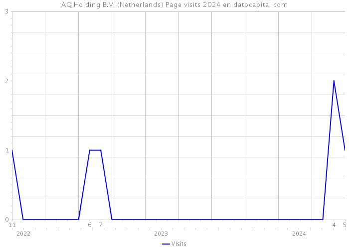 AQ Holding B.V. (Netherlands) Page visits 2024 