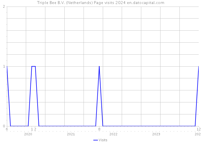 Triple Bee B.V. (Netherlands) Page visits 2024 