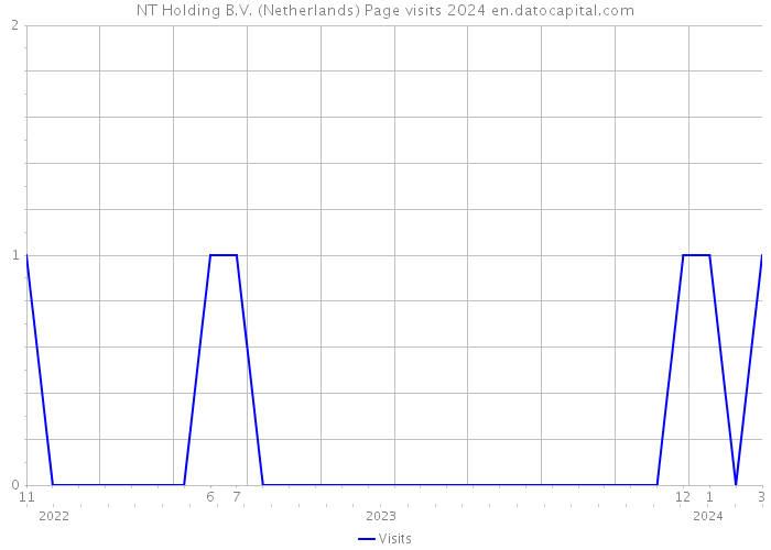 NT Holding B.V. (Netherlands) Page visits 2024 