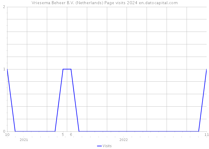Vriesema Beheer B.V. (Netherlands) Page visits 2024 