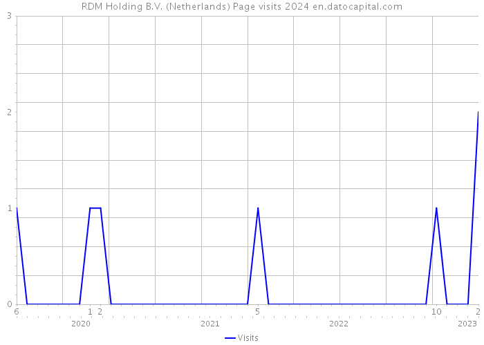 RDM Holding B.V. (Netherlands) Page visits 2024 