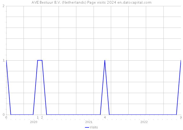 AVE Bestuur B.V. (Netherlands) Page visits 2024 