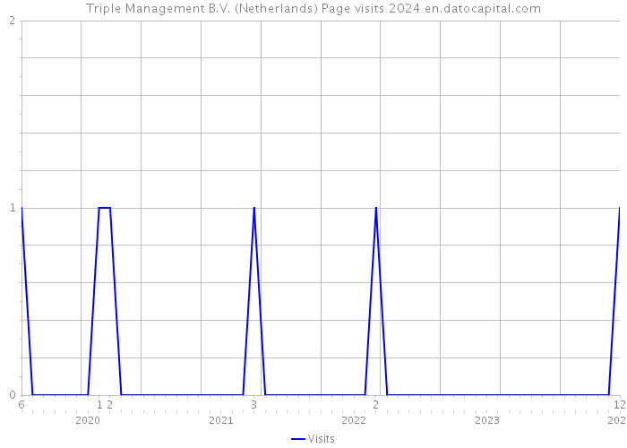 Triple Management B.V. (Netherlands) Page visits 2024 