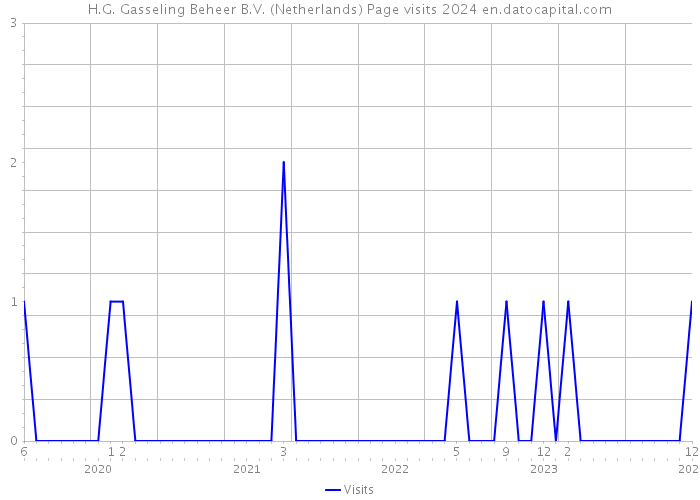 H.G. Gasseling Beheer B.V. (Netherlands) Page visits 2024 