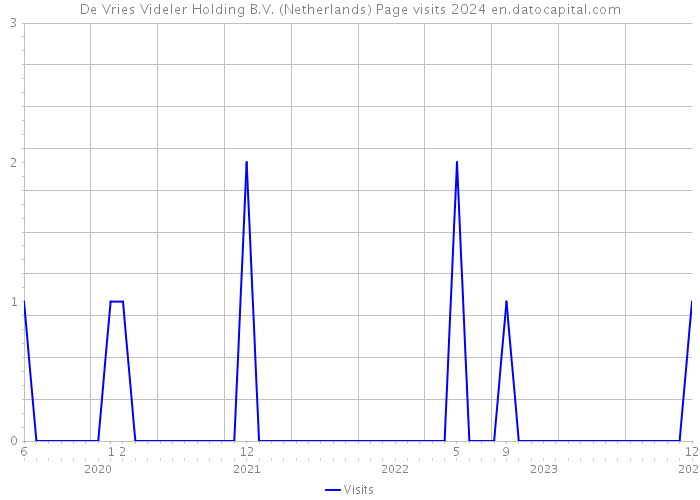 De Vries Videler Holding B.V. (Netherlands) Page visits 2024 