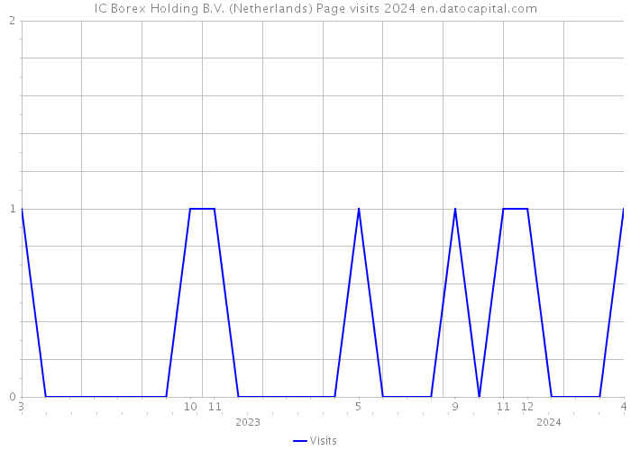IC Borex Holding B.V. (Netherlands) Page visits 2024 