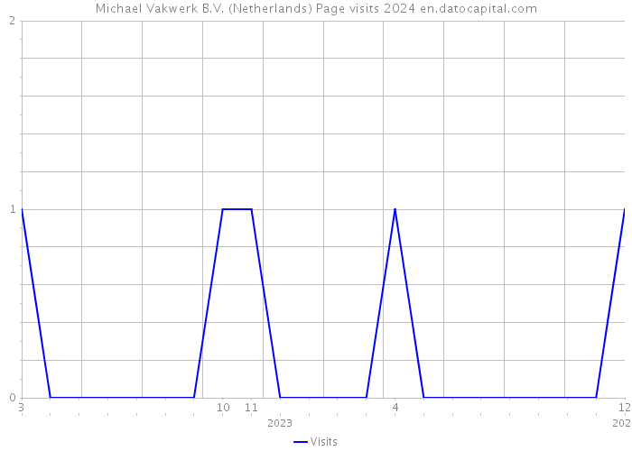 Michael Vakwerk B.V. (Netherlands) Page visits 2024 