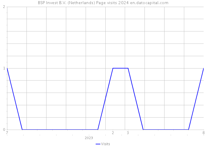 BSP Invest B.V. (Netherlands) Page visits 2024 