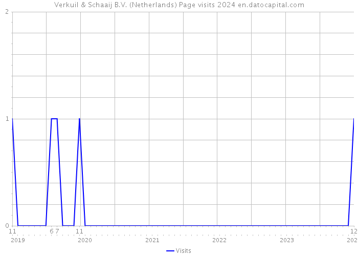 Verkuil & Schaaij B.V. (Netherlands) Page visits 2024 
