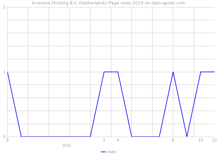 Incentive Holding B.V. (Netherlands) Page visits 2024 