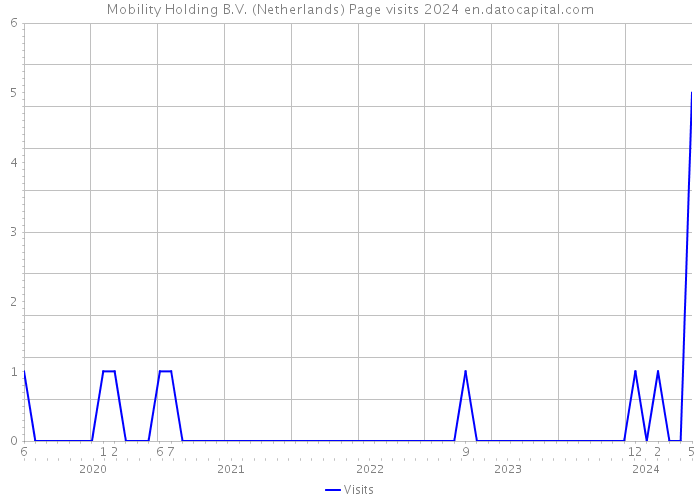 Mobility Holding B.V. (Netherlands) Page visits 2024 