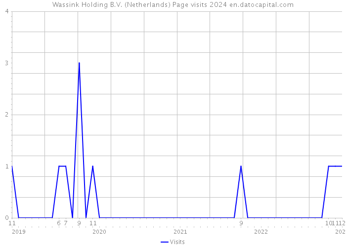 Wassink Holding B.V. (Netherlands) Page visits 2024 