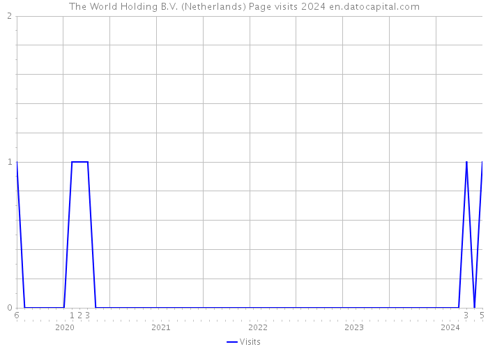 The World Holding B.V. (Netherlands) Page visits 2024 