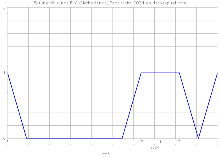 Equine Holdings B.V. (Netherlands) Page visits 2024 