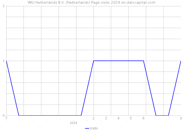 WIU Netherlands B.V. (Netherlands) Page visits 2024 