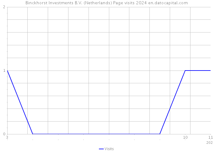 Binckhorst Investments B.V. (Netherlands) Page visits 2024 