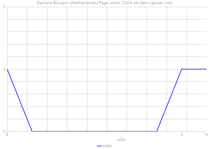 Daniele Bizzarri (Netherlands) Page visits 2024 