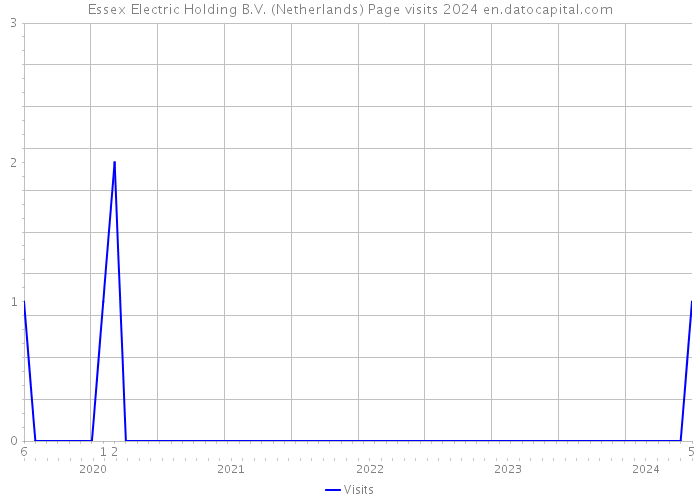 Essex Electric Holding B.V. (Netherlands) Page visits 2024 