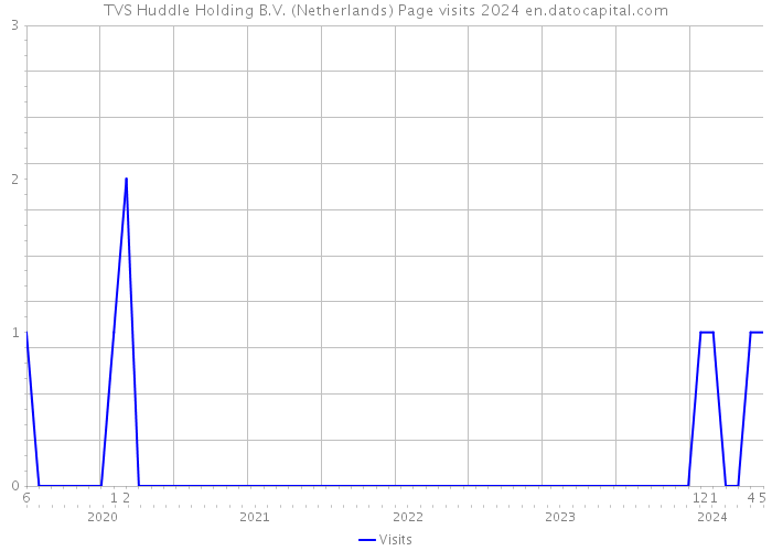 TVS Huddle Holding B.V. (Netherlands) Page visits 2024 